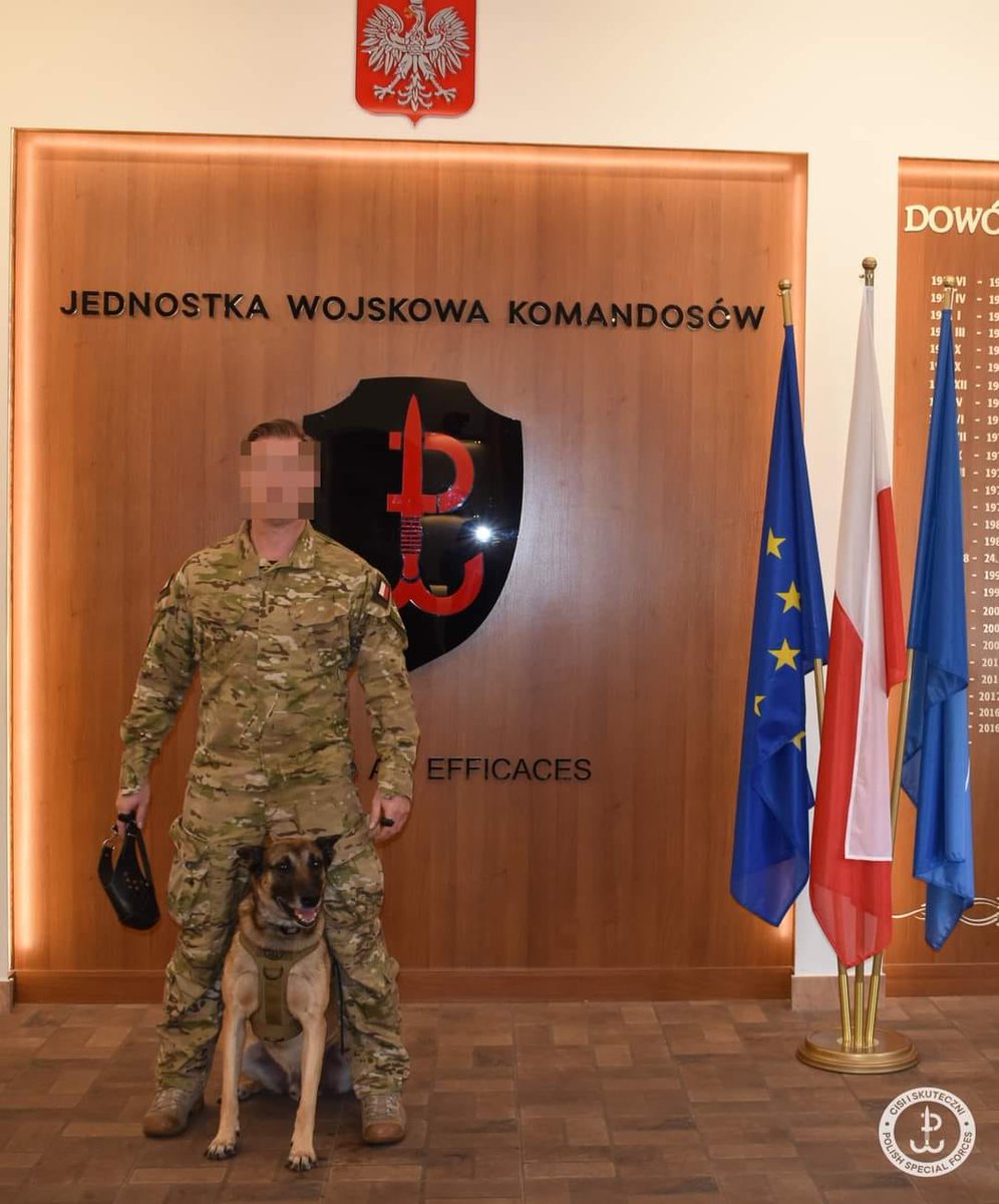 ZaPLMundurem's tweet photo. #CisiISkuteczni 💪🇵🇱
Pierwsze w historii #JWK uroczyste pożegnanie psa bojowego na sali tradycji. Owczarek belgijski uczestniczył w dwóch zmianach w Polskim Kontyngencie Wojskowym w Afganistanie.
#K9 #ArmyDogs #SoldierDogs #MilitaryDogs https://t.co/VBLBcF9Nek