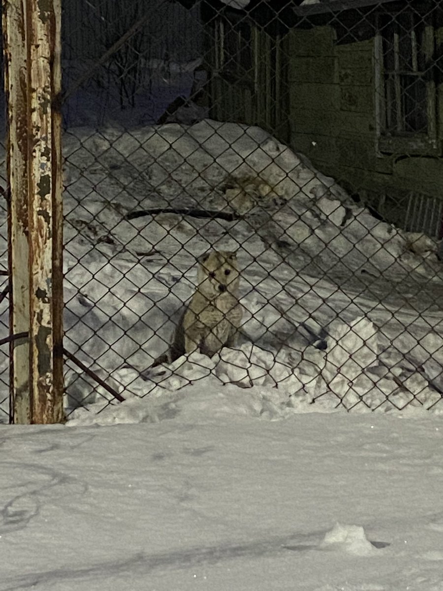 a_lnkr's tweet photo. обои☃️
последняя песня☃️
седьмое фото☃️
семь мью☃️ у меня их нет😭 https://t.co/85l2fejhJm