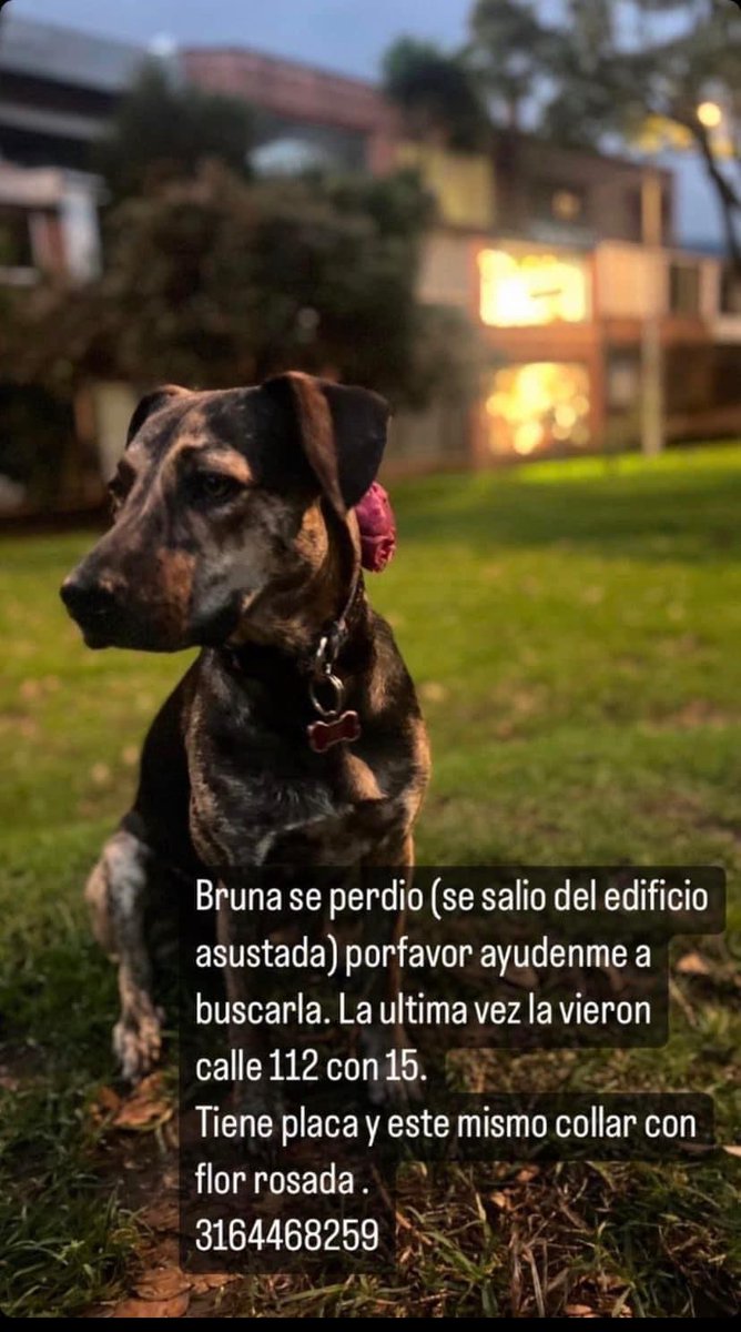 Ana Maria Diaz tweet media
