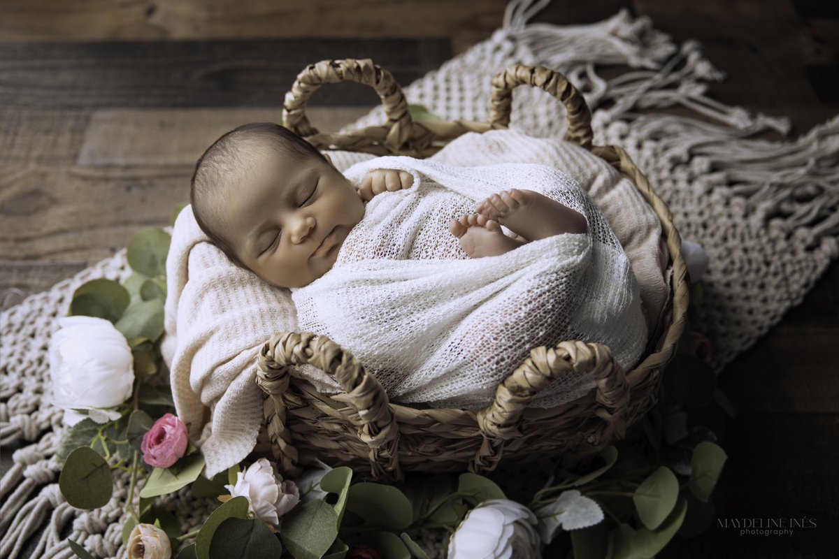 Mimi Pabon tweet media