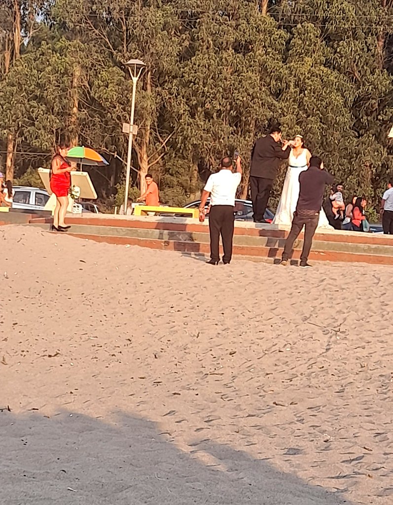 tijercat's tweet photo. Muchas Felicidades a los novios...
Cosas que uno se encuentra en la #playa #Colcura https://t.co/TLqPldmSNo
