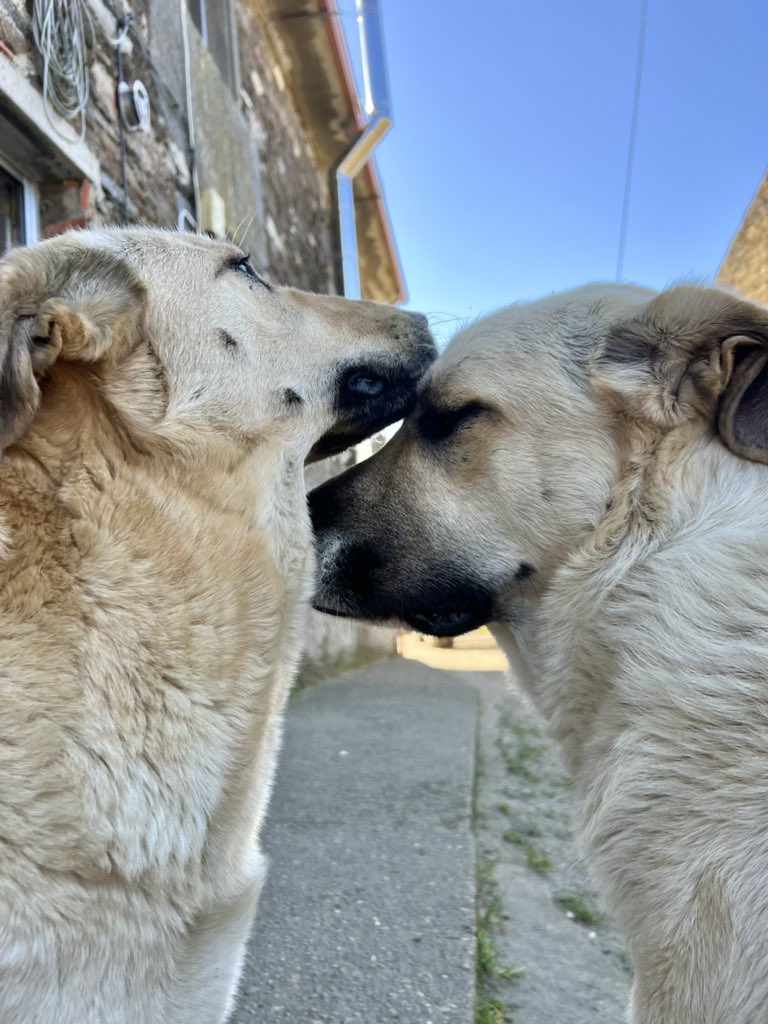 es que😭😭😭❤️‍🩹❤️‍🩹❤️‍🩹