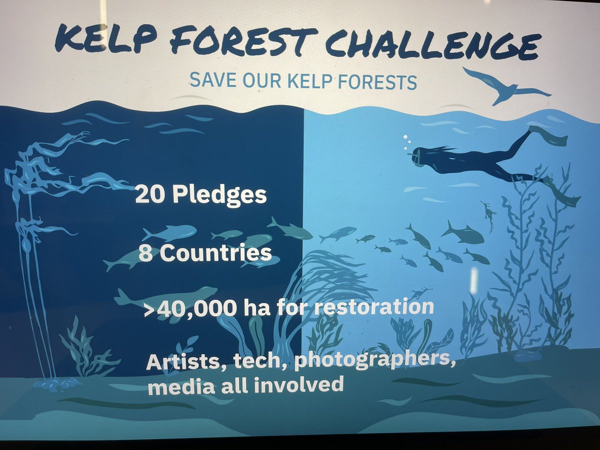The #KelpForestChallenge is being launched today with a bold &amp; ambitious new target to restore 1M hectares &amp; protect 4M hectares of #kelp forests by 2040. There’s already 20 pledges including &gt;40,000 hectares for #restoration @EgerAaron