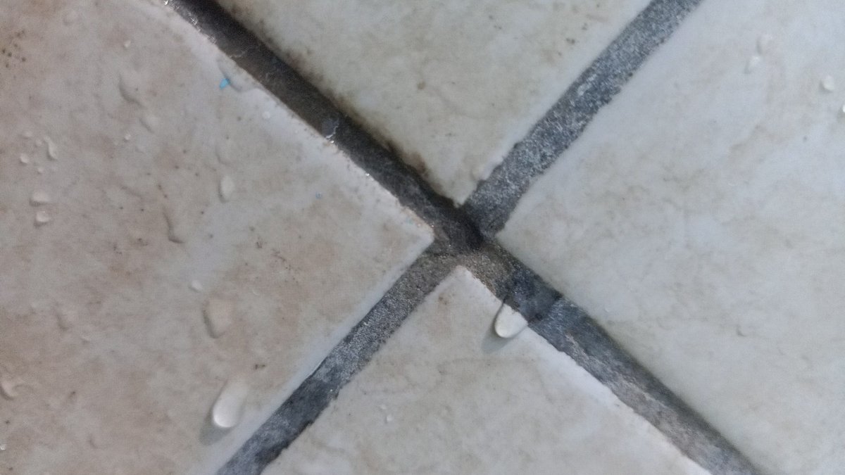 Absol3rd tweet media