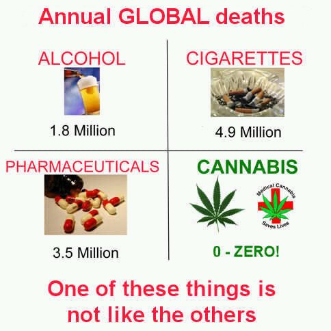 Some of the best memes I've seen on marijuana. 
Do you know which groups spend the most to keep pot illegal?
- Pharmaceutical & alcohol industries
- Private prisons (they want more prisoners with long sentences)
- Police & prison unions
#LegalizeMarijuana