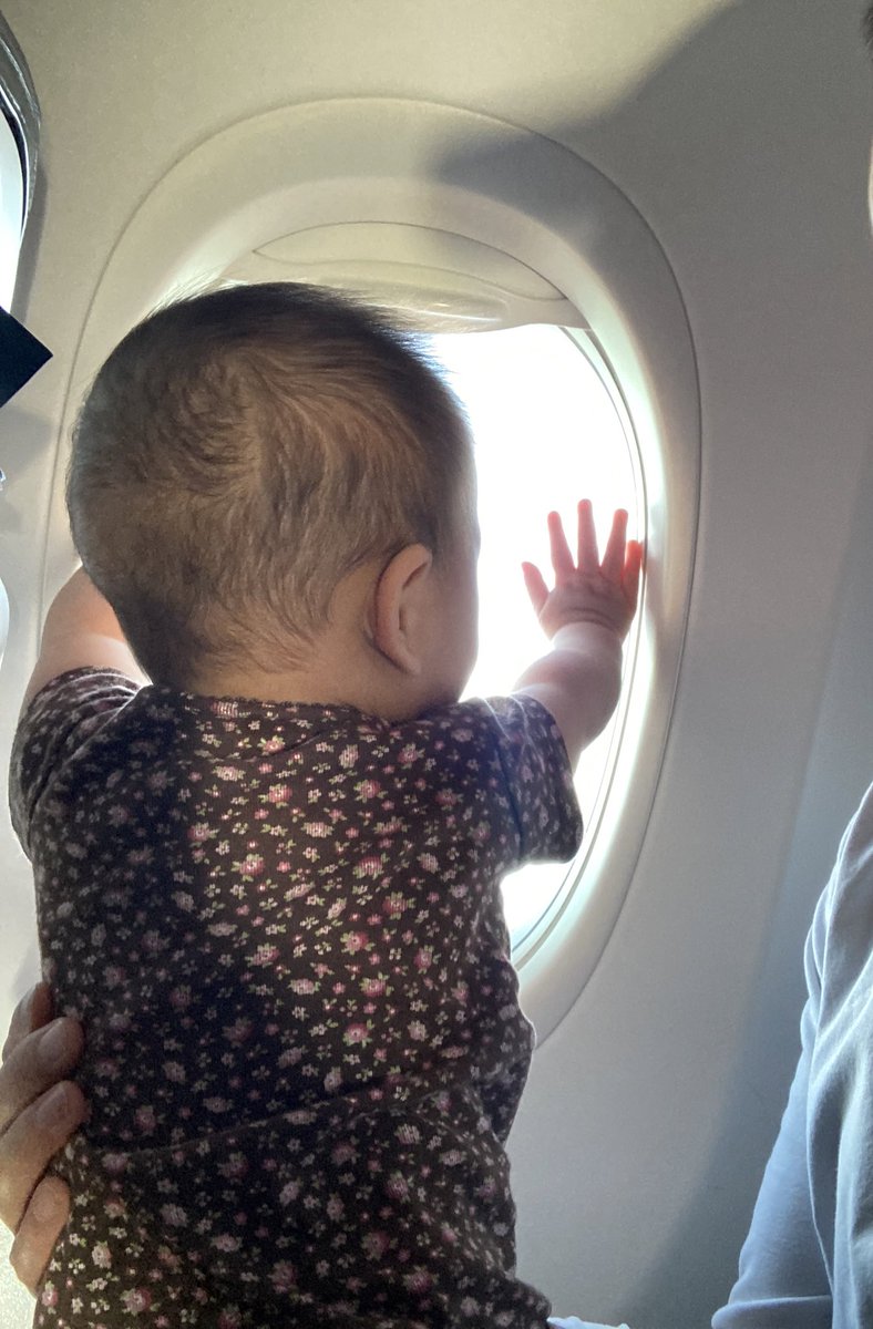 BeZeroBe's tweet photo. @AlaskaAir https://t.co/HpPtNWv0Jj