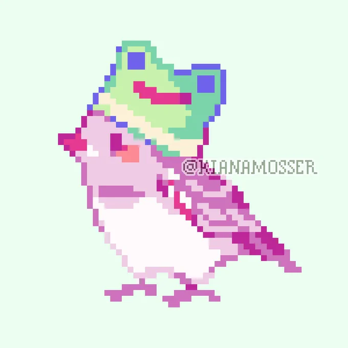 frog hat finch 