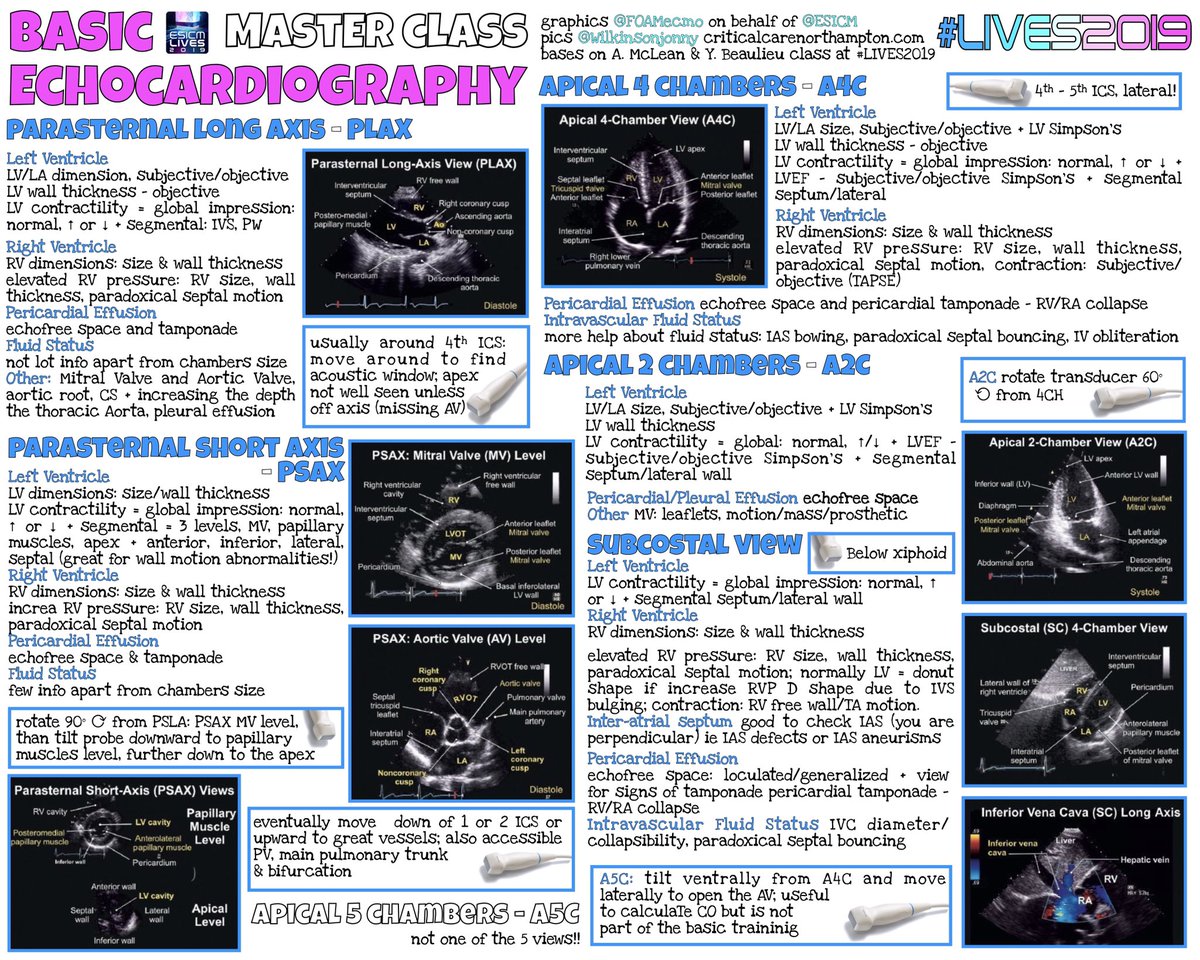 Basic cardiac #POCUS views
<a href="/FOAMecmo/">M Velia Antonini</a> <a href="/Wilkinsonjonny/">Jonny Wilkinson</a> 
#MedEd #IMPOCUS #Nephpearls