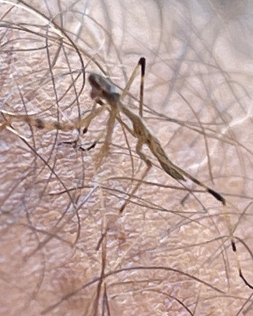 Need Time Away tweet media