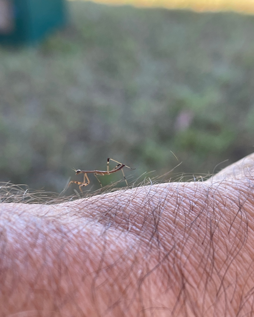 Need Time Away tweet media