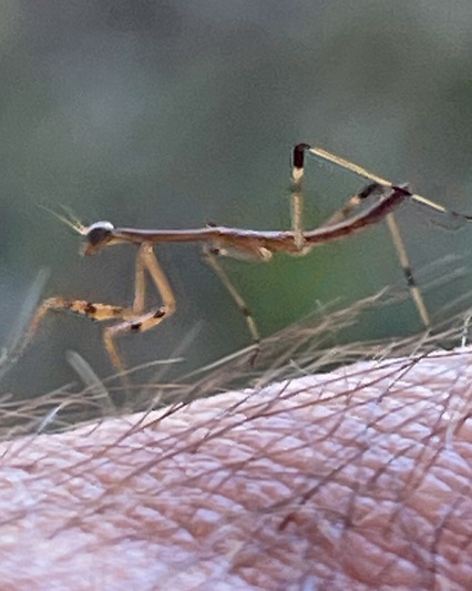 Need Time Away tweet media