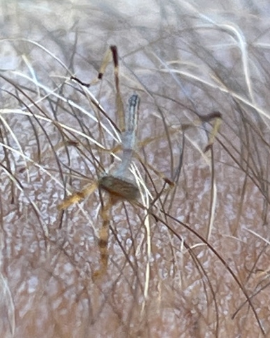 Need Time Away tweet media