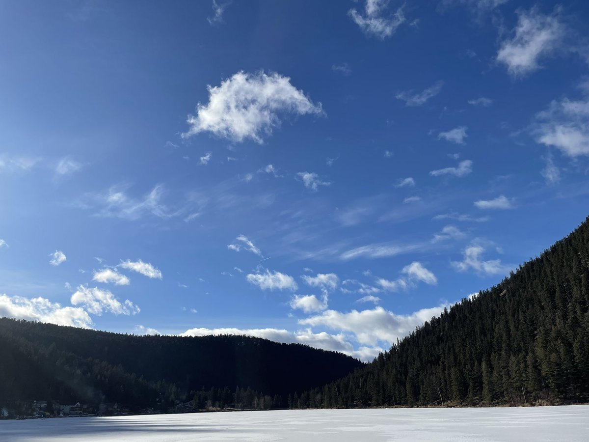 Jody Vance tweet media