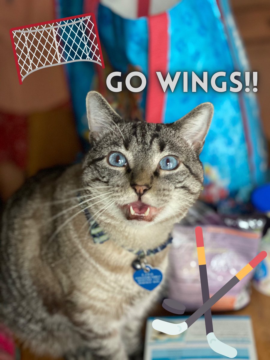 Chanda Ferguson tweet media