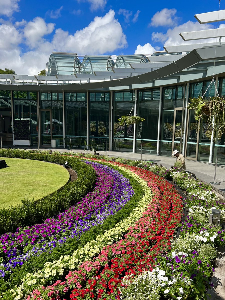 Phenomenal display created by my incredible team of horticulturists <a href="/RBGSydney/">Sydney Travel</a> creating a circular rainbow 🌈 to celebrate @sydneyworldpride 🏳️‍🌈#worldpride2023 #WorldPride #SWP2023 #rainbow #horticulture