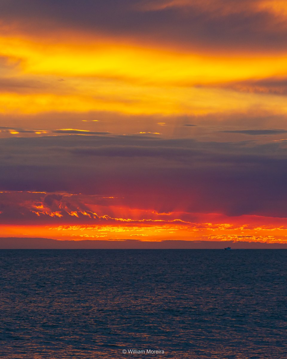 willysancarlos's tweet photo. Otro atardecer en el paraiso
.
.
.
.
#atardecer #atardecerenelparaiso #puntadeleste #veranoenpunta #uruguay #sunset #mar #cieloalatardecer #cielorojizo #nubesrojizas #paisajescosteros https://t.co/dSPHuRkgQW