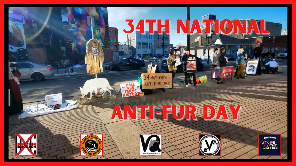 TPoet1973's tweet photo. 34th National Anti-Fur day. #notyourskin #zipoffthecruelty #vegan #veganism #makefurfarmshistory https://t.co/wlr5oLgHWn