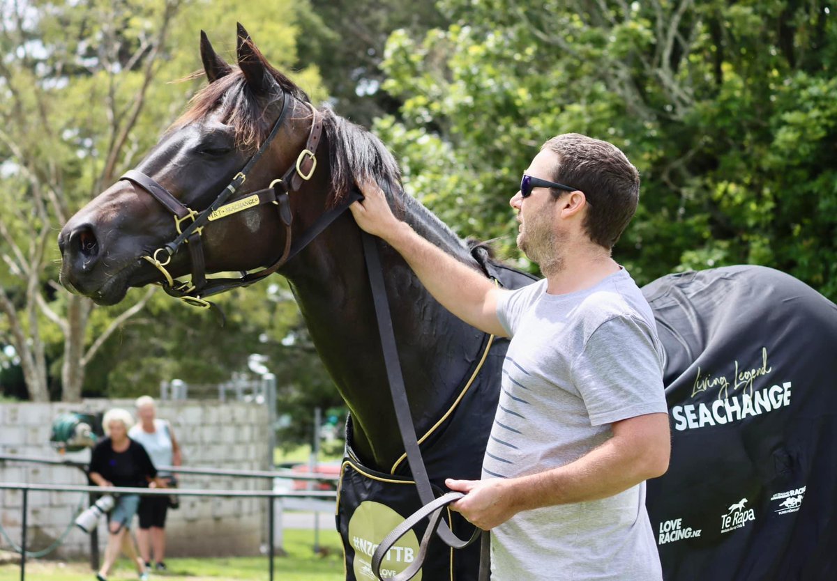 OaksStud's tweet image. A few things to catch up on here! But firstly, Legends Day! What an absolutely fantastic day! We were proud to have living legends, Seachange, D B Pin &amp;amp; Catalyst on display amongst some other superstars! 🤩 
Thanks to all involved. A proud day for The Oaks Stud.