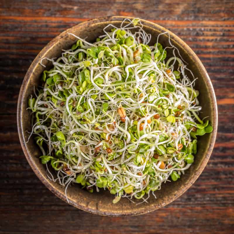 Broccoli and radish sprouts have amazing health benefits like reducing inflammation, boosting the immune system and have cancer fighting enzymes. They sprout in about 4-5 days from a jar wherever there is sunlight and pair well with soups and many dishes. 

Directions 👇