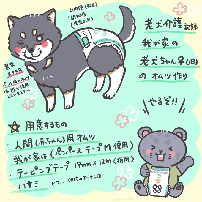 我が家の老犬ちゃんの介護記録です
少しでもお役に立てますように。#老犬介護  #柴犬のいる生活 