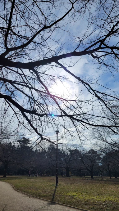 ニチアサウォーキング薄曇りが晴れてきた。今日は15度まで上がるらしい。歩くには今くらい(9度)がちょうどいいかな。 