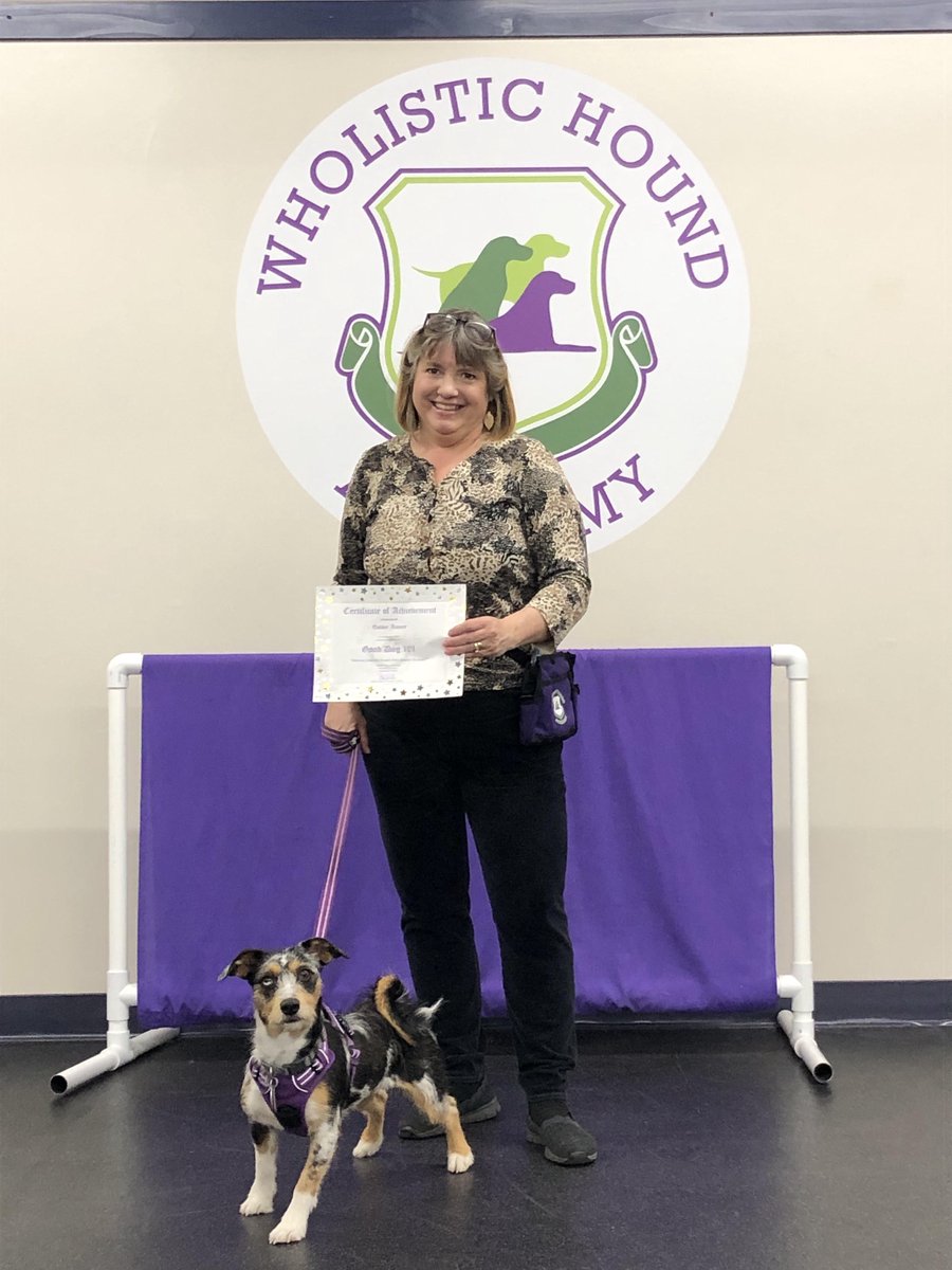 ComputerCORE's tweet photo. Ember, Computer CORE’s mascot, graduates from Good Dog 101. #wholistichoundacademy #sandymodell #gooddog101 #certification #basicskillsinstruction #nottechsavvy @wholistichound https://t.co/gByopobPIi