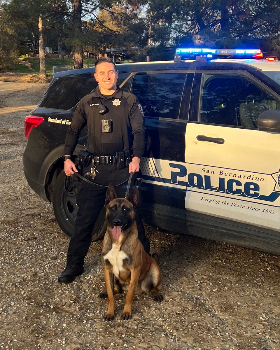 Meet our newest K9 handler Officer Beltran and his partner K9 Arko! They start K9 school in March. Welcome to #TeamSBPD K9 Arko! 

#K9 #PoliceDog #WorkingDog #Police #LawEnforcement #ThisCouldBeYou #StandardOfExcellence #SanBernardino @SBPD_CHIEF