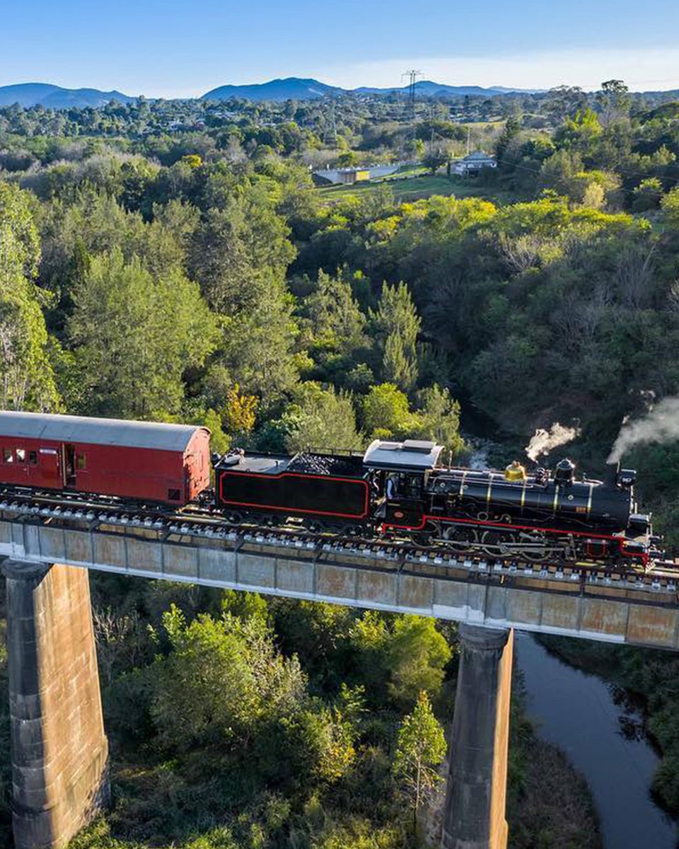 sunshinecoastoz's tweet photo. All aboard! The @maryvalleyrattler, or ‘The Rattler’, as it’s known to locals, is one of Queensland’s most iconic heritage experiences 🚂 

Psst! You can even take your furry friend along 🐶

#visitsunshinecoast #sunshinecoastforreal #sunshinemoment https://t.co/TbBi0g13hA