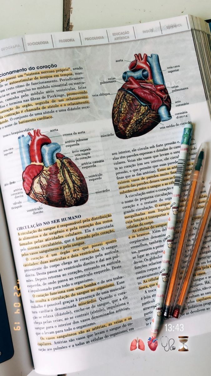 lesbogod's tweet image. meus materiais/livros de estudo em pdf para cursos de biológicas/exatas – a thread 🔬📈

#collegetwt #studytwt #studytwtbr
