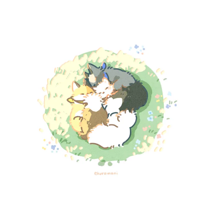 ぽかぽか#短足きつねの暮らし 