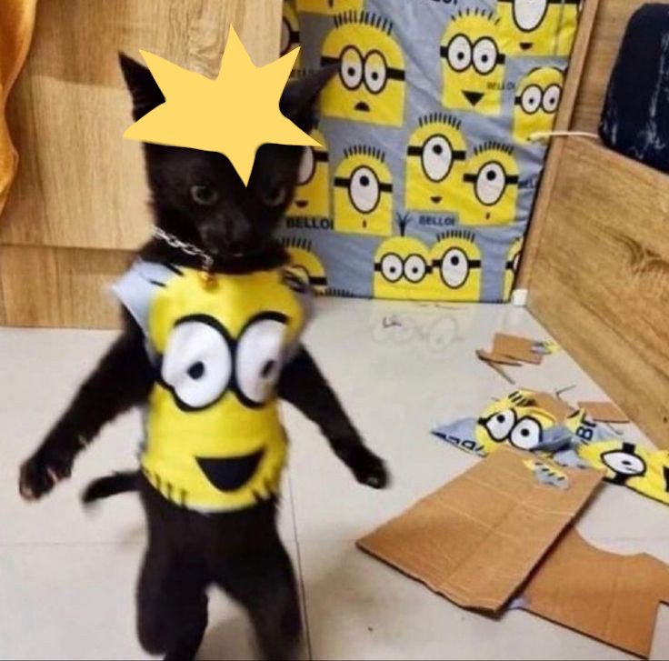 Sp_As_Cats's tweet photo. im baaack hey!!
Butters ❤️❤️
#SouthPark #sptwt #spbutters https://t.co/nGwRksmjnn