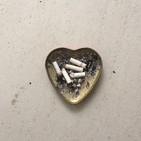 ダニエル (@hereisaesthetic) on Twitter photo 