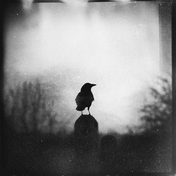 julenri60's tweet photo. 📷👉©Zewar Fadhil, from Iraq.
#blackandwhitephotography
#photography #monochrome
#contemporaryphotography
#contemporaryart #Art
#abstract #abstractphography
#streetphotography https://t.co/sg01eRGiGJ