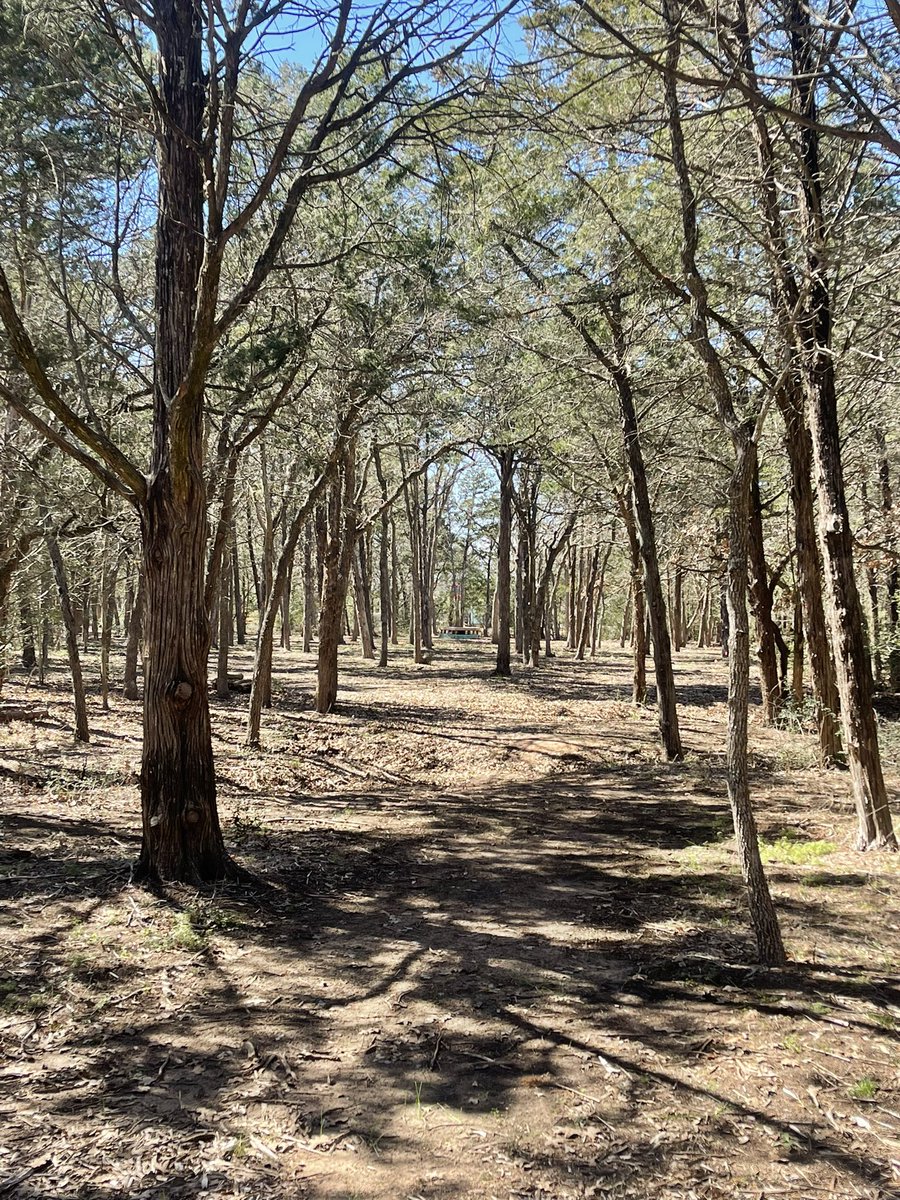 chrisgoffdg's tweet photo. @PDGA not today but yesterday https://t.co/ZcQwAqfWtm