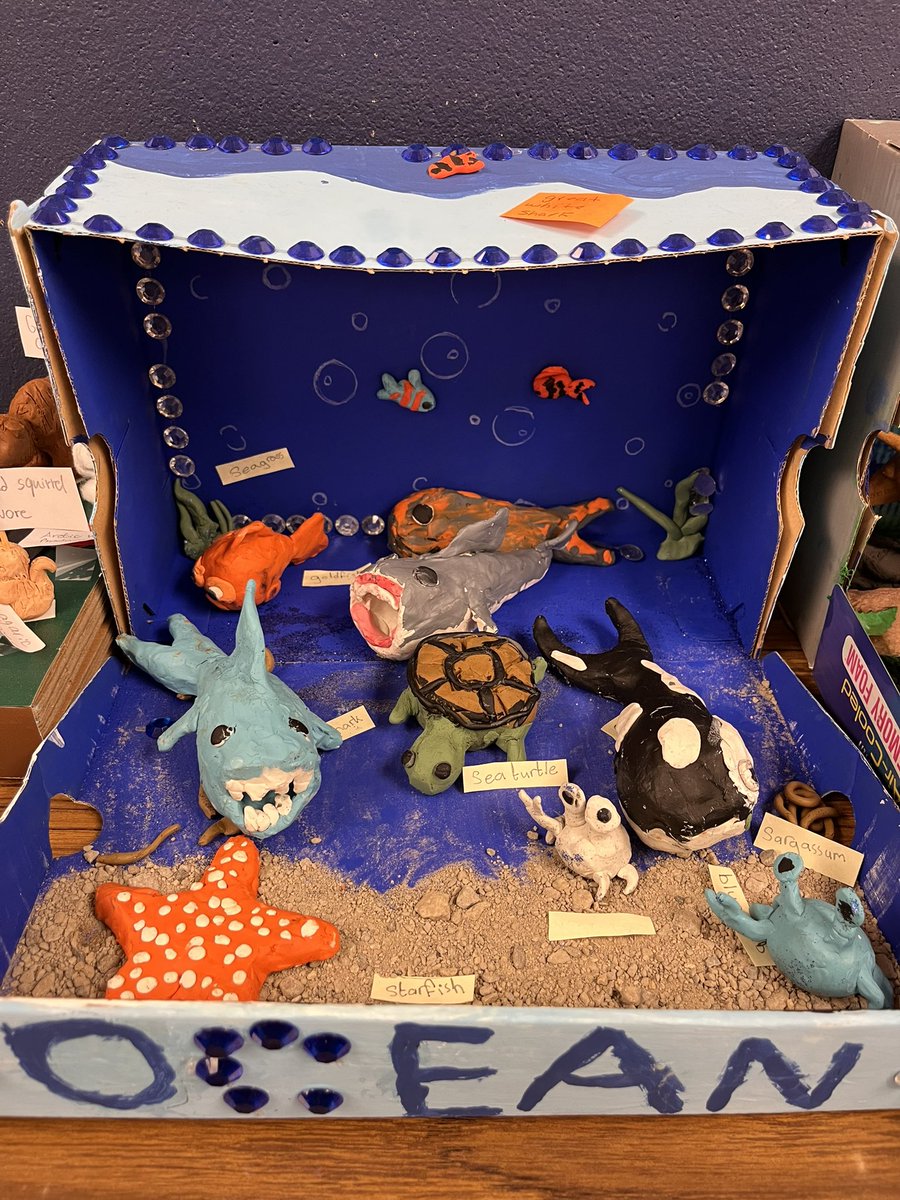 Shoe-box Biomes for our unit on Ecosystems! Class 7E hard at work! #science @valleysvipers