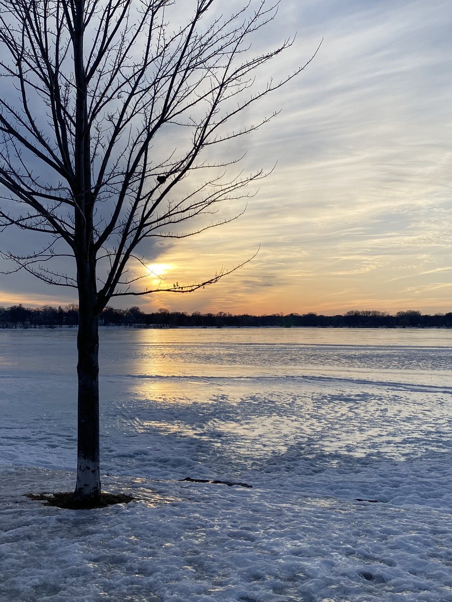 _reesiebag's tweet photo. #winterinmn https://t.co/OFhw0CcDa5