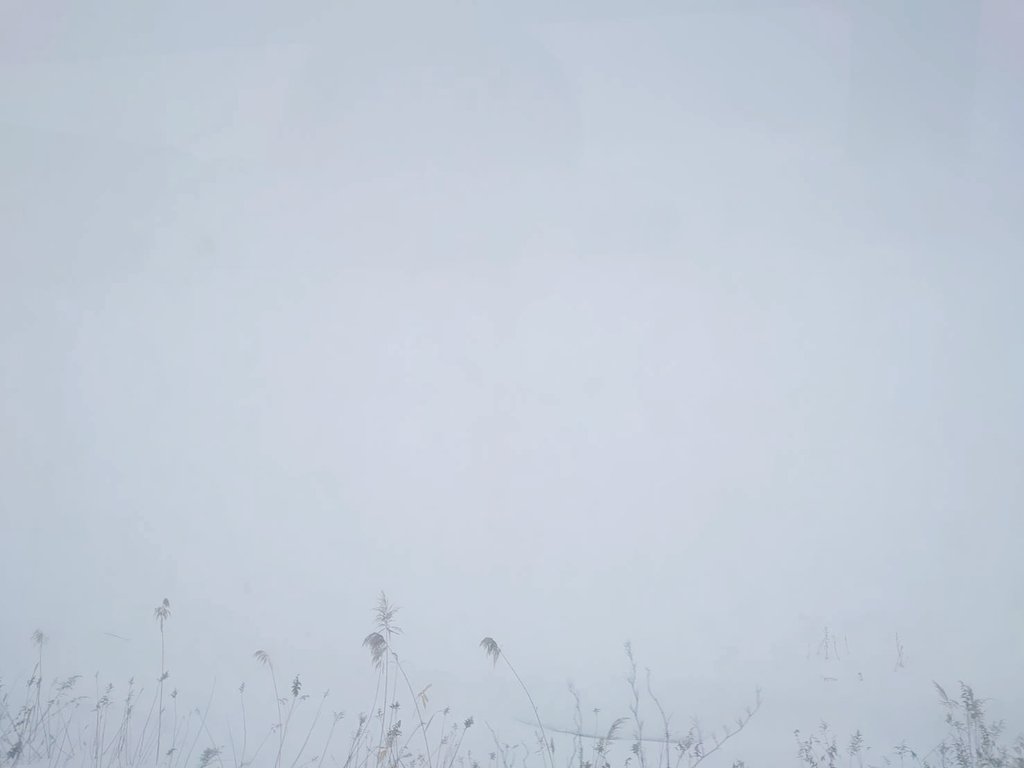 hiroko_nanami's tweet photo. 札幌に来ています。
一面雪のところも！❄️
北朝鮮のミサイルによって北海道や東北の方々の漁業をはじめとした生活が脅かされている。二度とミサイルを発射させないための抑止力を持たねば。 https://t.co/1dZrwKN9qT