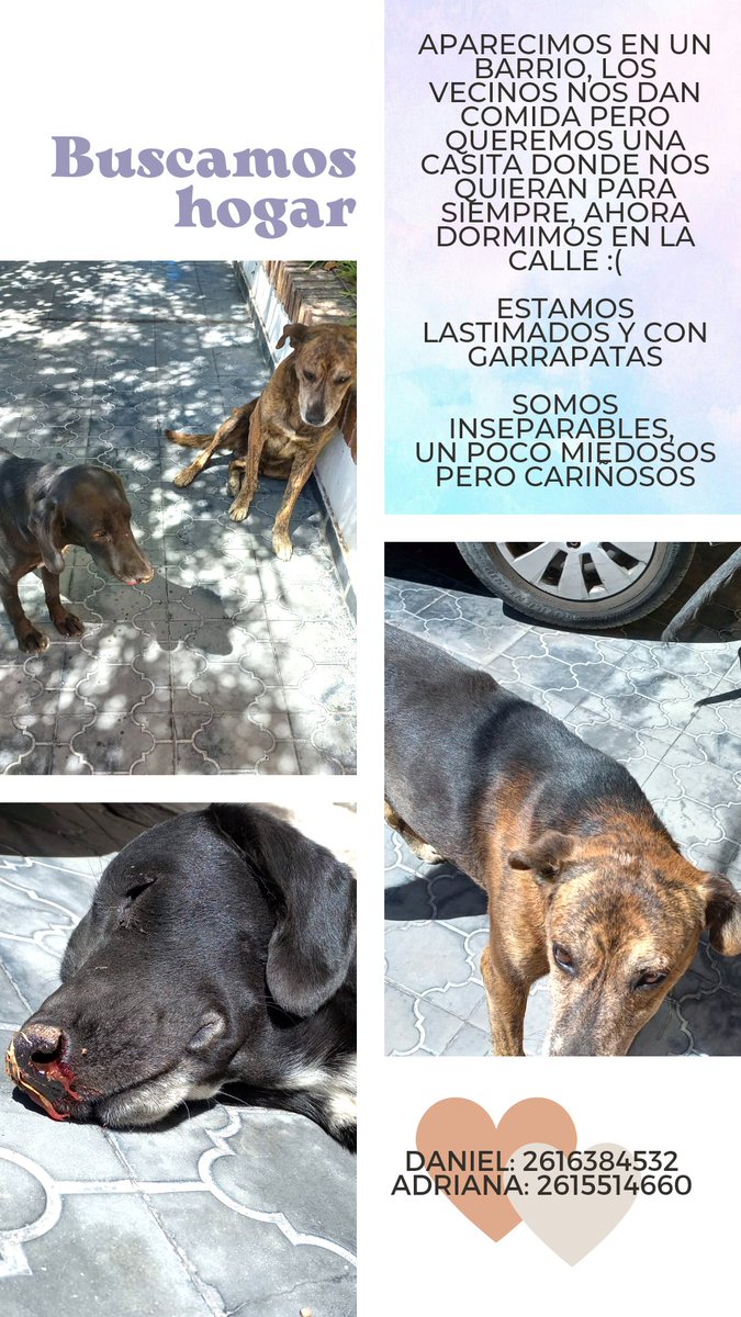 #Mendoza 
Ayudame con un RT porfa!