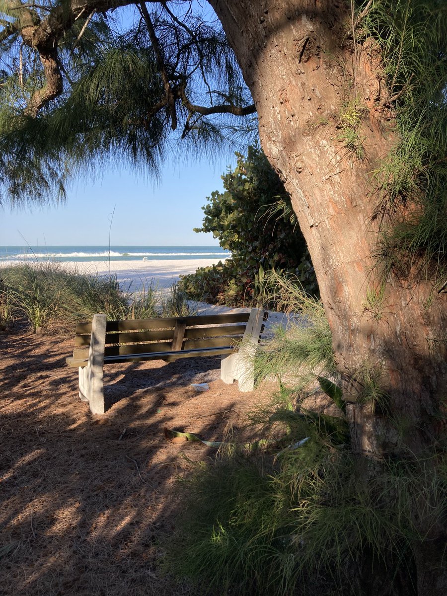 Island Unique tweet media