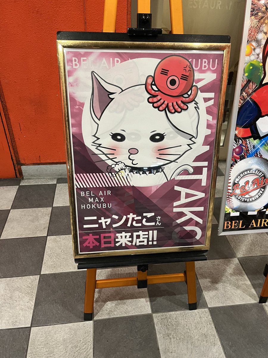 ryuppi0510's tweet photo. にゃんたこどこやねん https://t.co/QmeLYxLmqQ