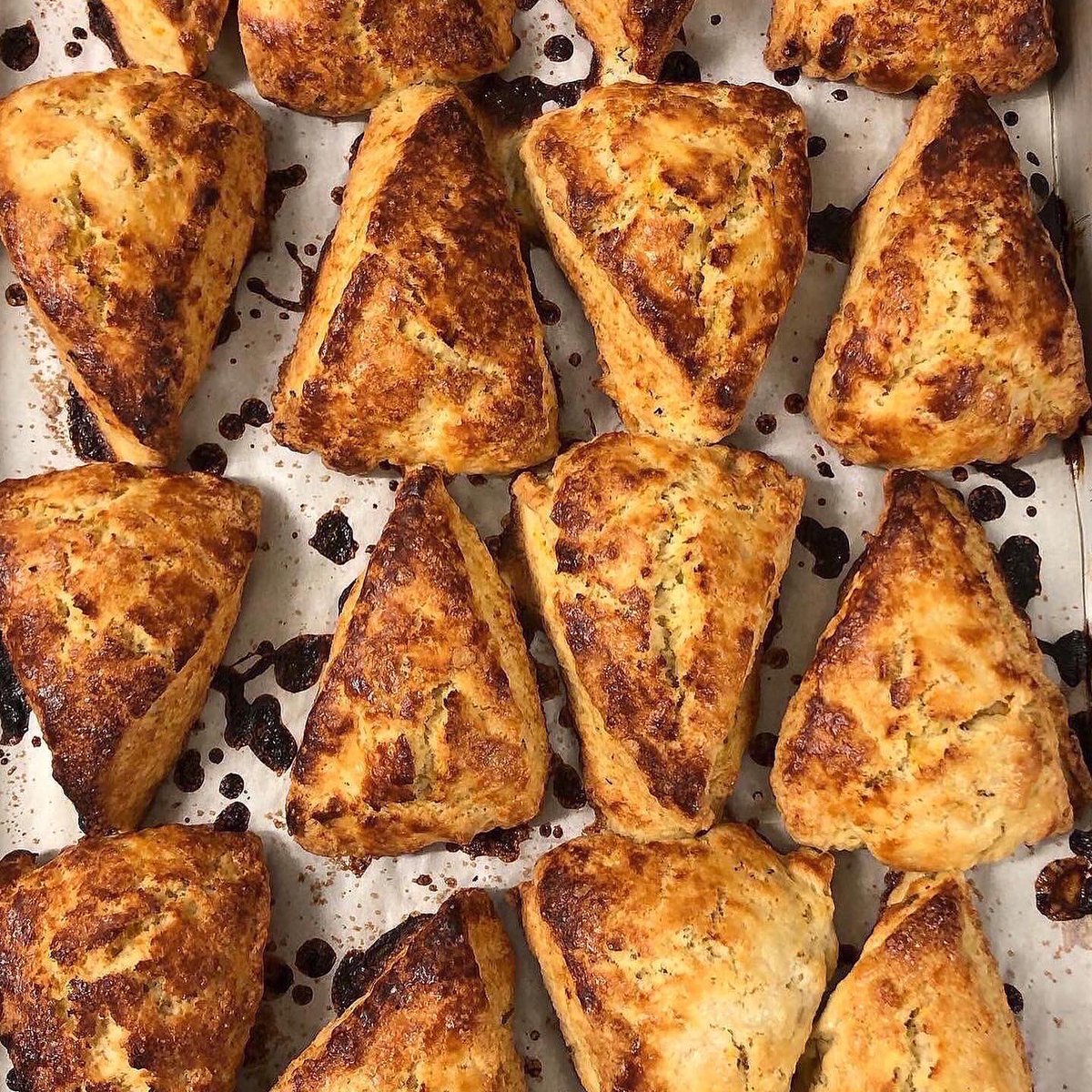 Tipple + Rose tweet media