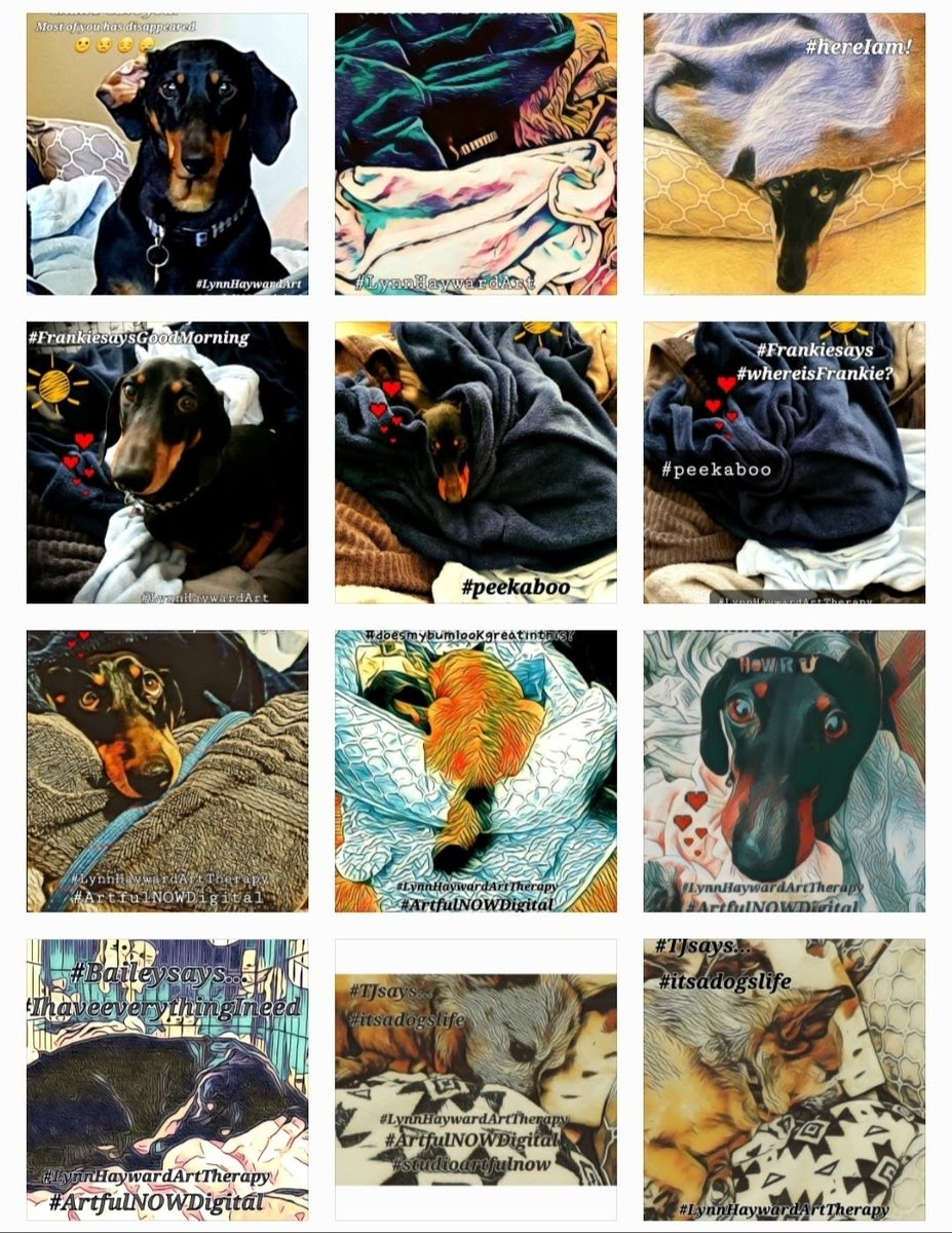 ArtfulnowStudio's tweet photo. #SDPSonlineDoods23
#Doodsofsdps23
#Frankiesays
#Baileysays
#TJsays
#Frankie
#Bailey
#TJ
#drunkonbailey https://t.co/9zj4EK3rn8