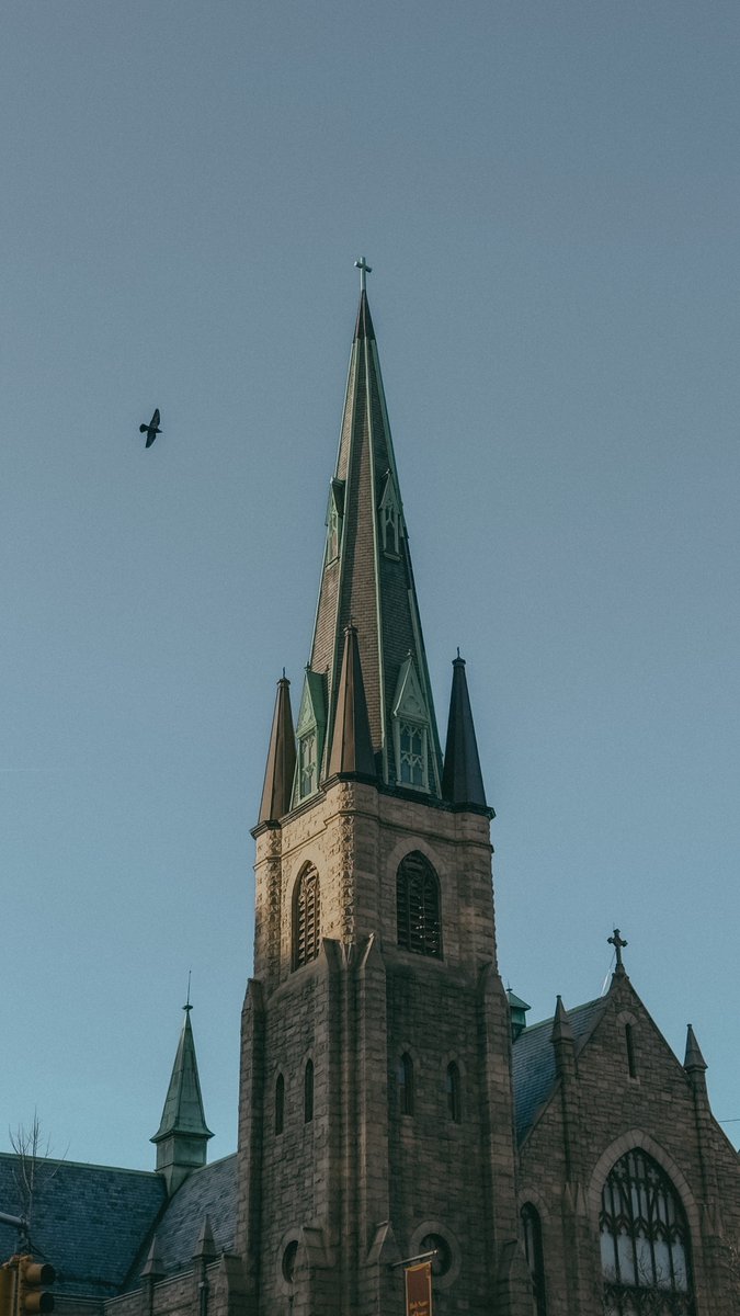 ⛪️ 🐦