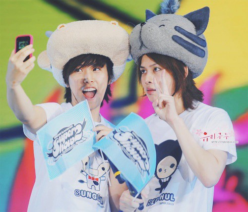 ELF, temos mais uma fanbase na área. Dessa vez para apoiar nosso juninho, Sungmin. Sigam e apoiem muito a <a href="/Sungmin_Brazil/">Sungmin Brazil🐰</a> 💙