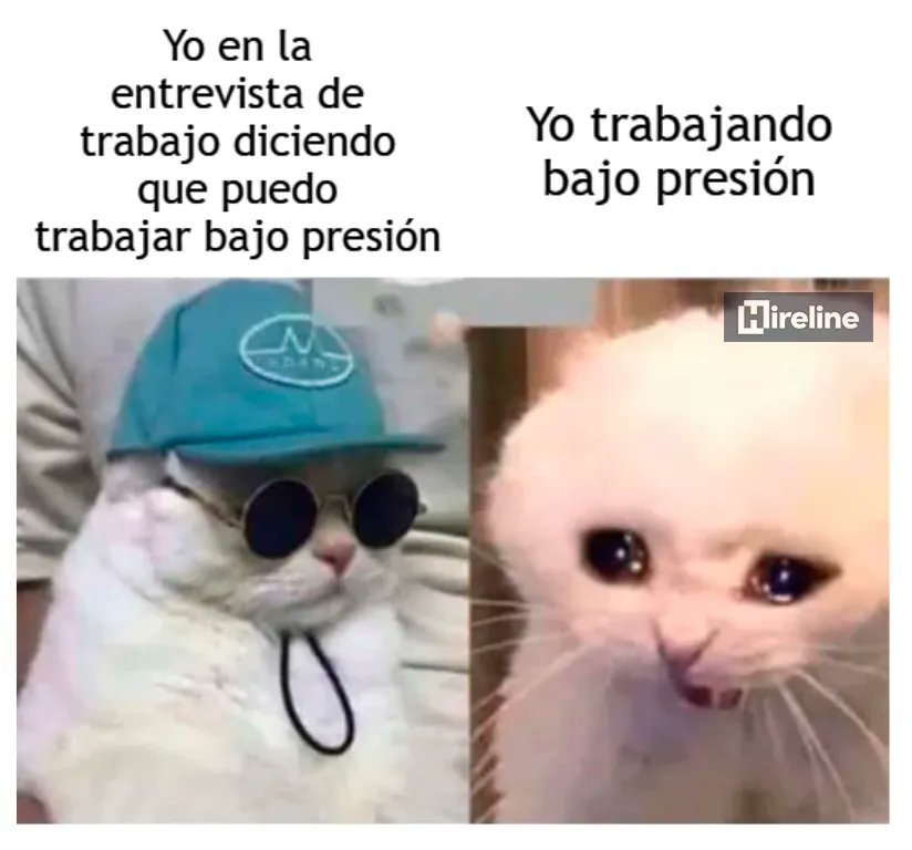 Si soy