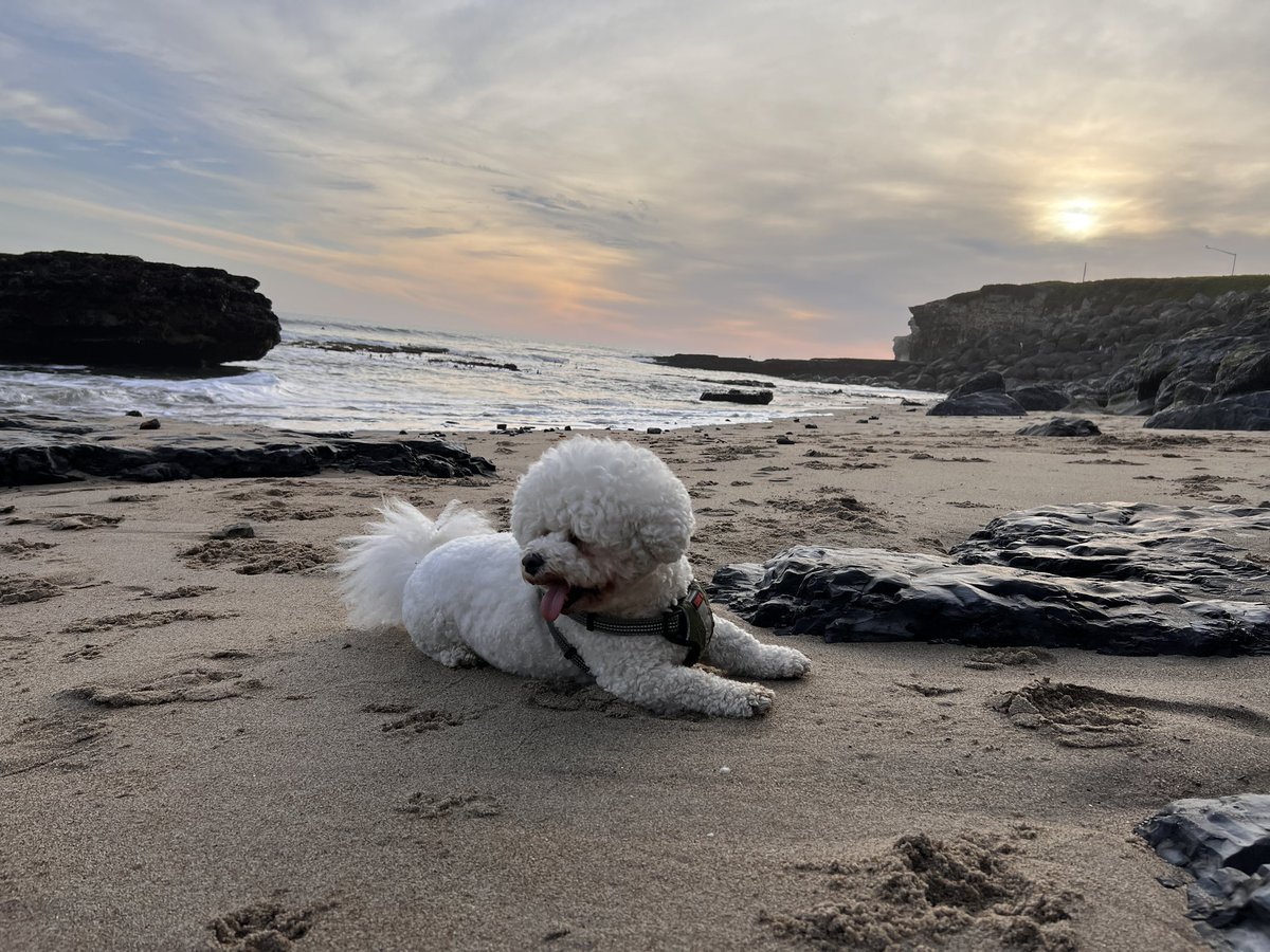 Pradeep Chalicheemala (@pradeepc) on Twitter photo 