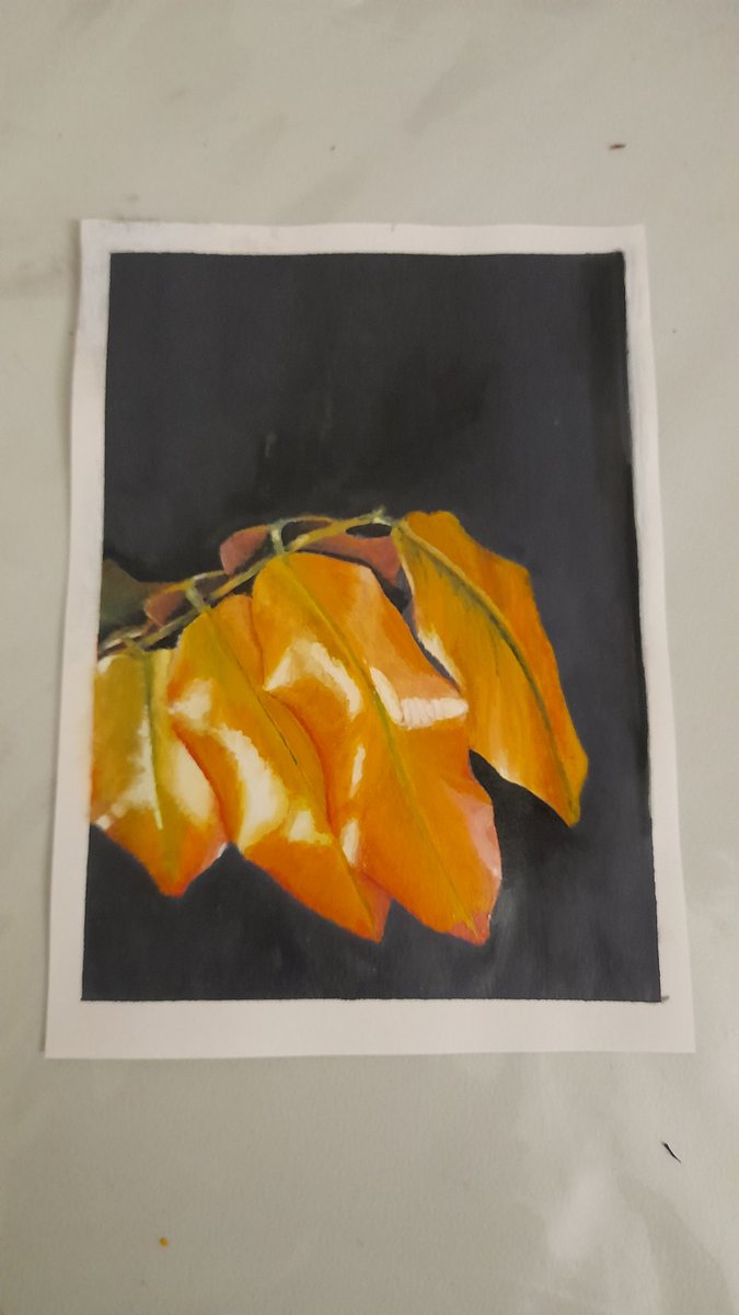 XxNightblazexX's tweet photo. Day 17 completed, and I love the oil finish 😍. 
#FebruaryLeaves
#oneaday 
#art #leaves #painting #oilpaint #paintmarker #realism https://t.co/Vur1DpCR8L