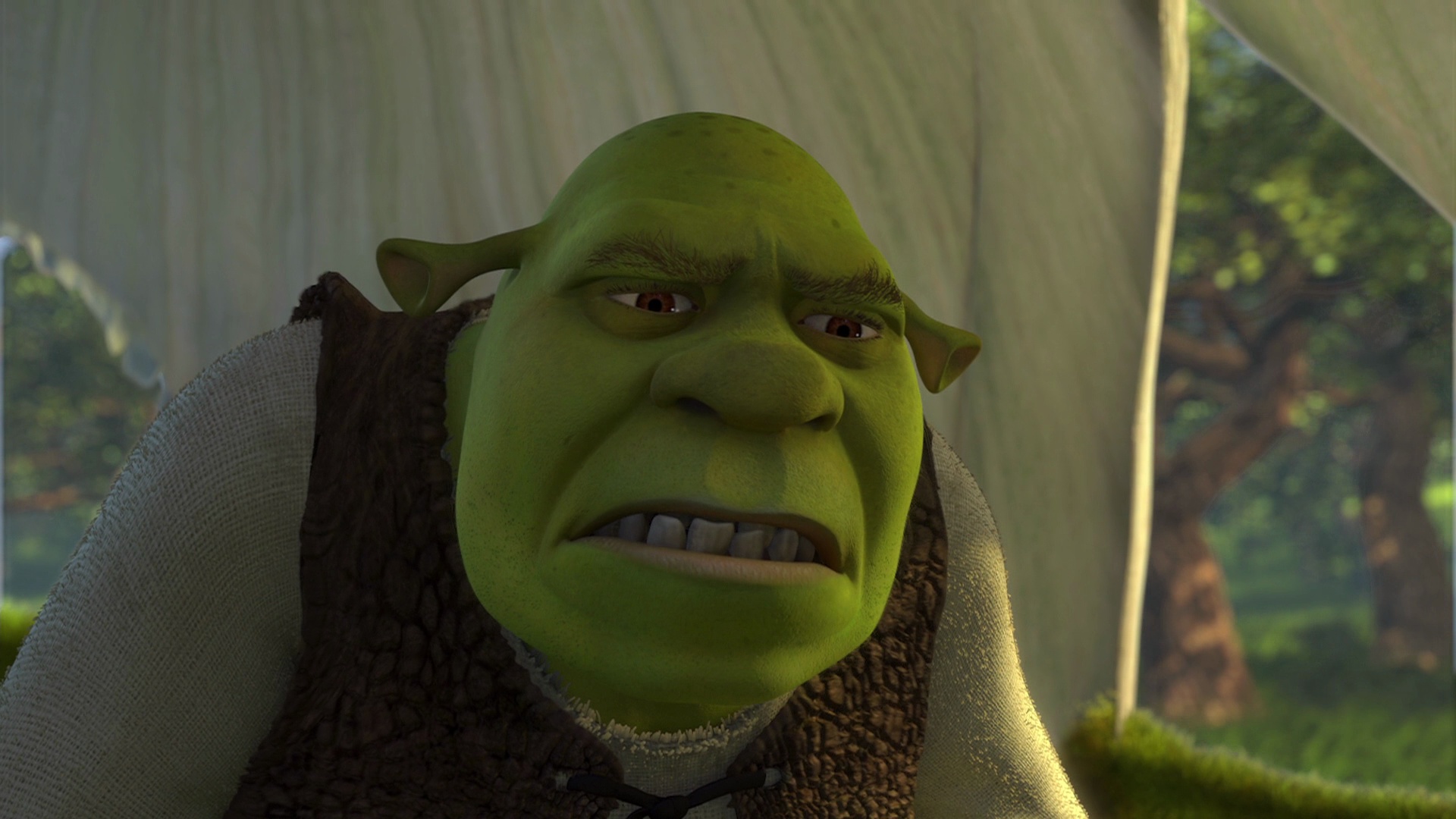 Shrek Insert Face ID:268303