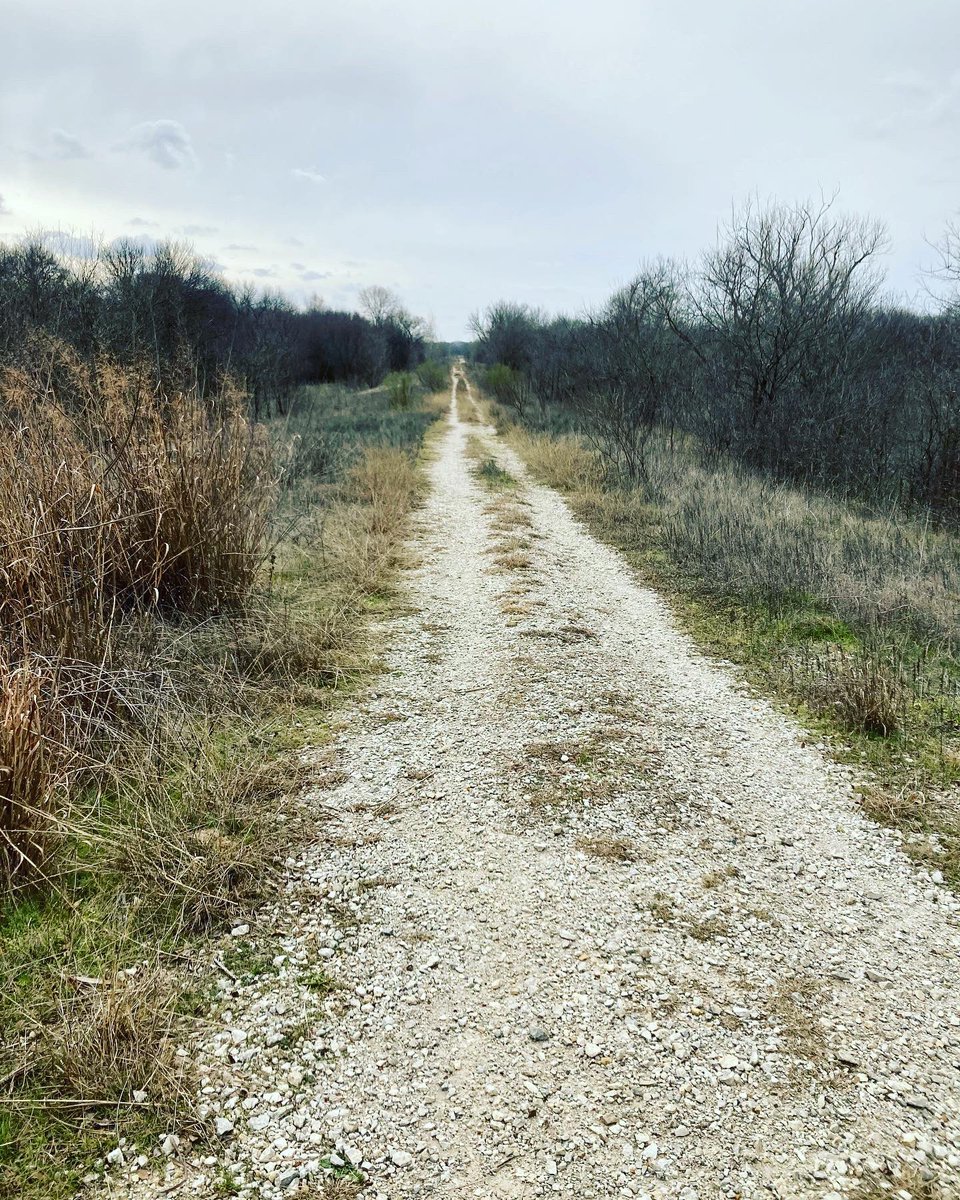 NikolajBill's tweet photo. Took my son hiking today.
#hiking #hike #hikingadventures #exploremore #getoutside #outdoors #findmeoutside https://t.co/WmyjzyQhqz