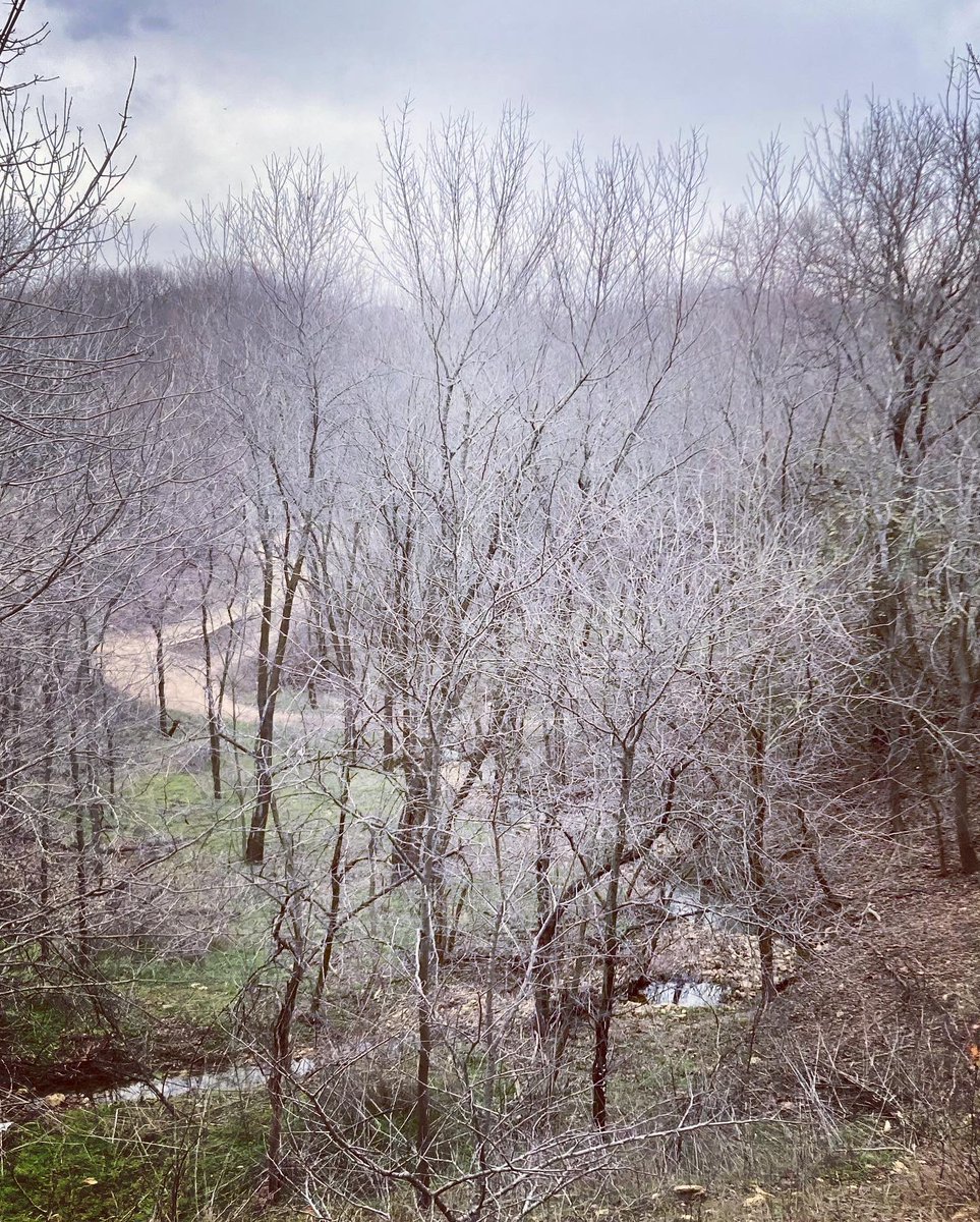 NikolajBill's tweet photo. Took my son hiking today.
#hiking #hike #hikingadventures #exploremore #getoutside #outdoors #findmeoutside https://t.co/WmyjzyQhqz